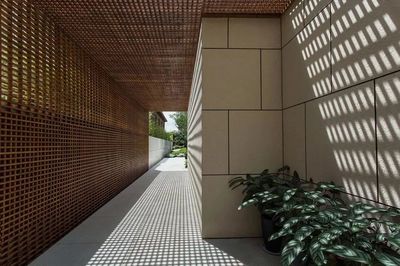 钢材减产需求不减，“以竹代钢”能否成为建筑新选择？